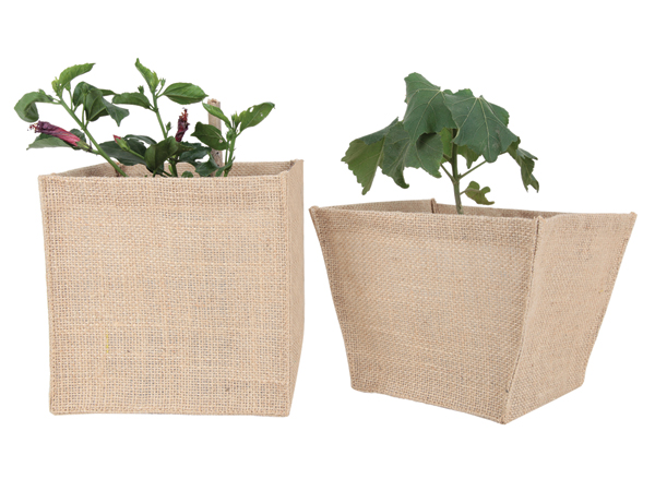 Wine Bags